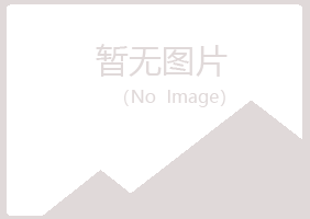 赫山区凌乱能源有限公司